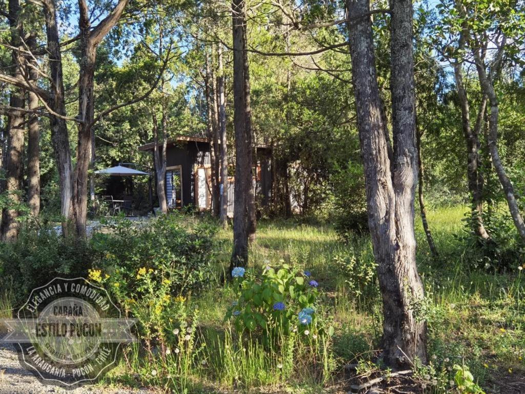 Cabana Estilo Pucón Eksteriør billede